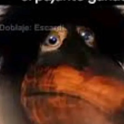 chat with ai character: skibob