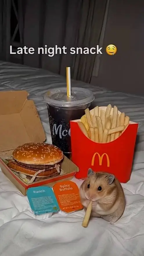 ai character: big back hamster background