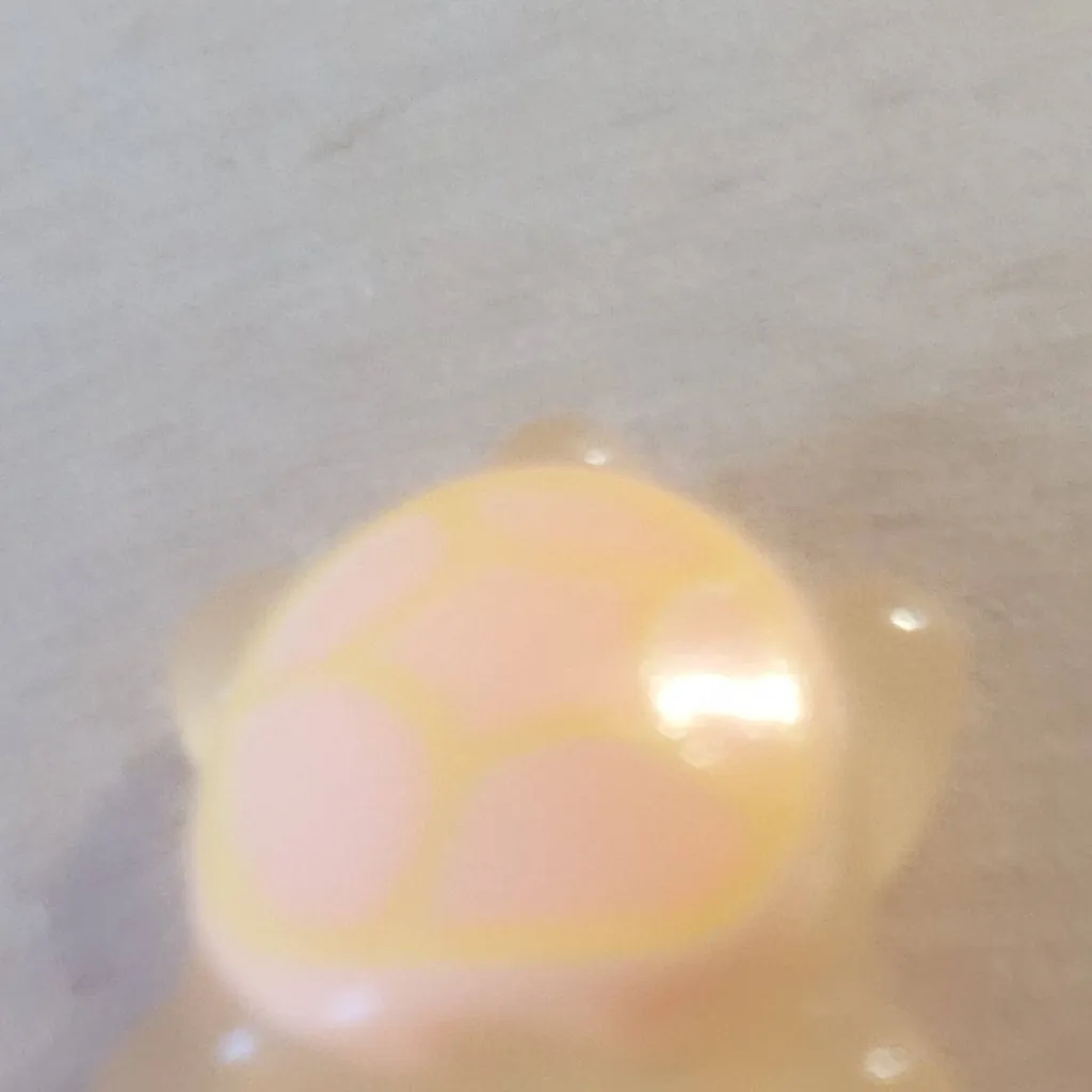 chat with ai character: Squid