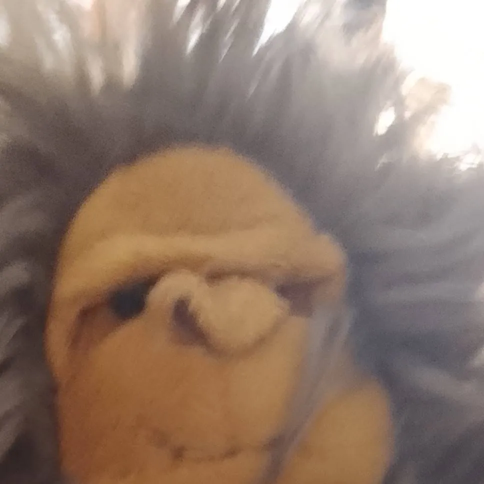 chat with ai character: pie grande peluche