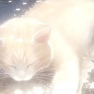 chat with ai character: danganronpa boy