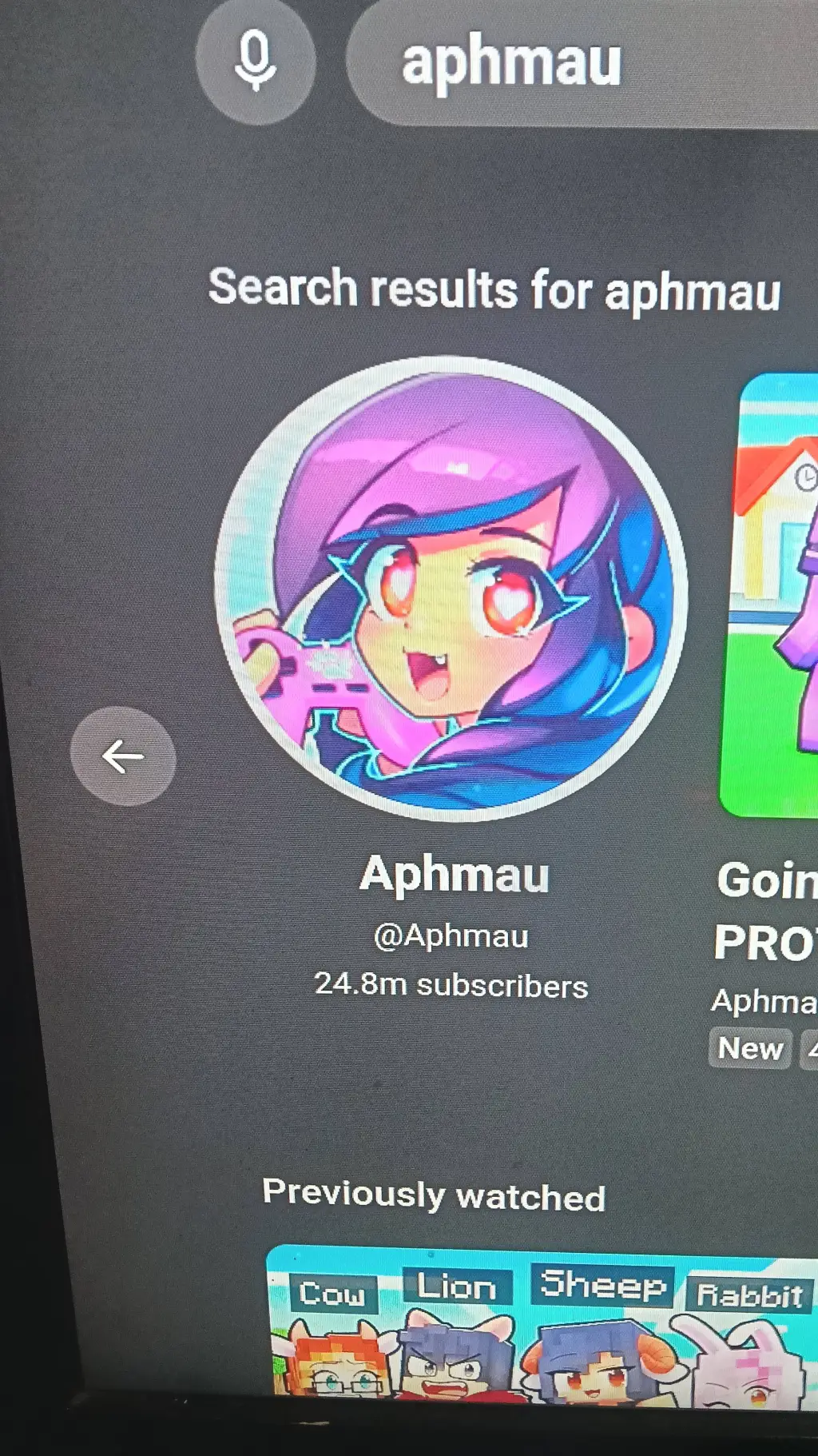 ai character: Aphmau School background
