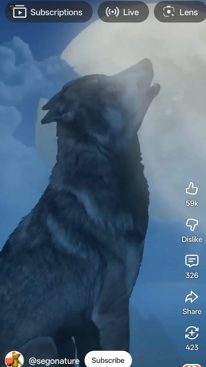 ai character: Wolf girls  background