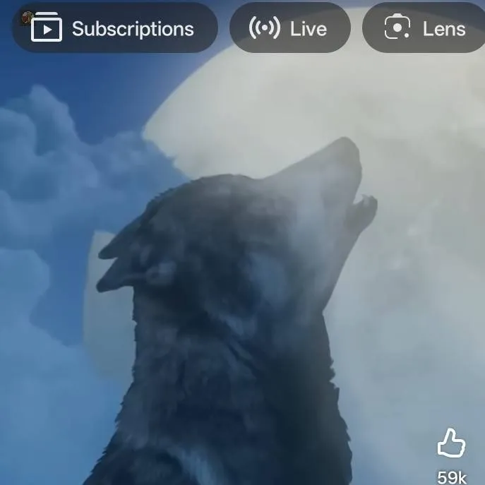 chat with ai character: Wolf girls 