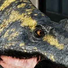 chat with ai character: a-suchomimus 2
