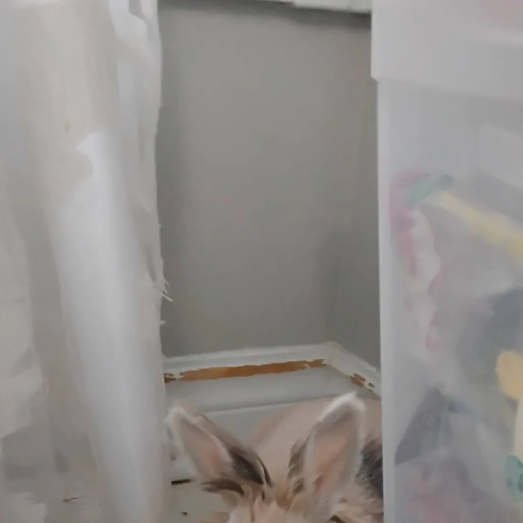 chat with ai character: Toffee the rabbit 