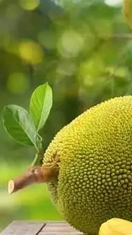 ai character: Jackfruit  background
