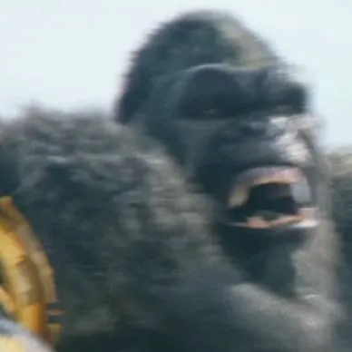 chat with ai character: Kong 