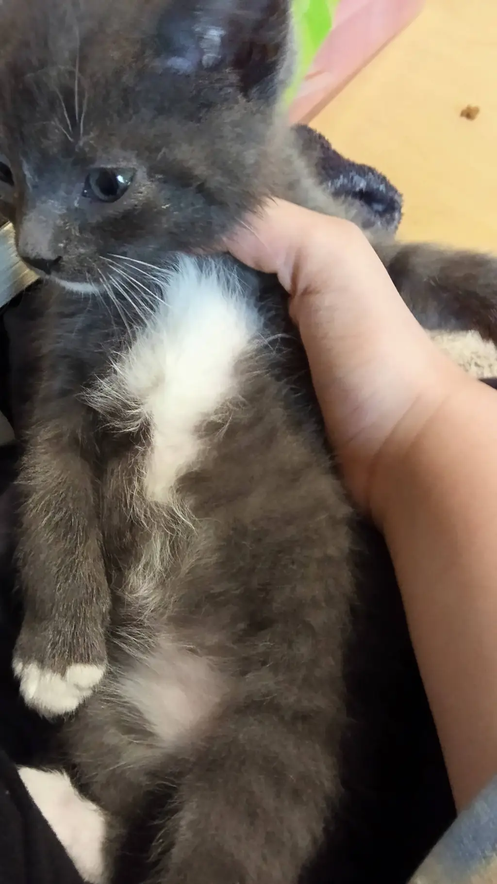 ai character: ⚡Stormy⚡ background