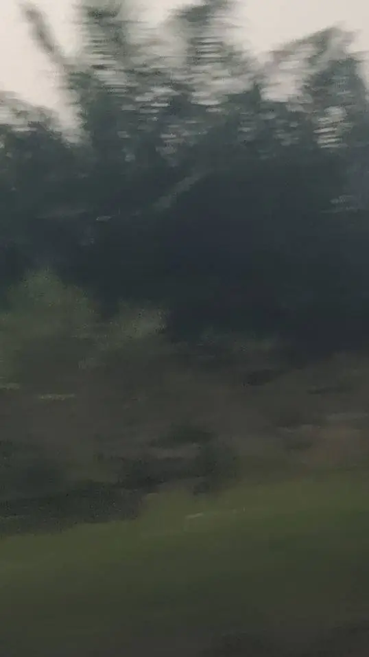 ai character: 99 in the forest background