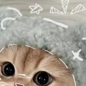 chat with ai character: Blue cat 🙃