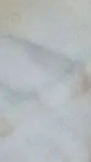 Talkie AI - Chat with Stolas