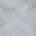 chat with ai character: Stolas