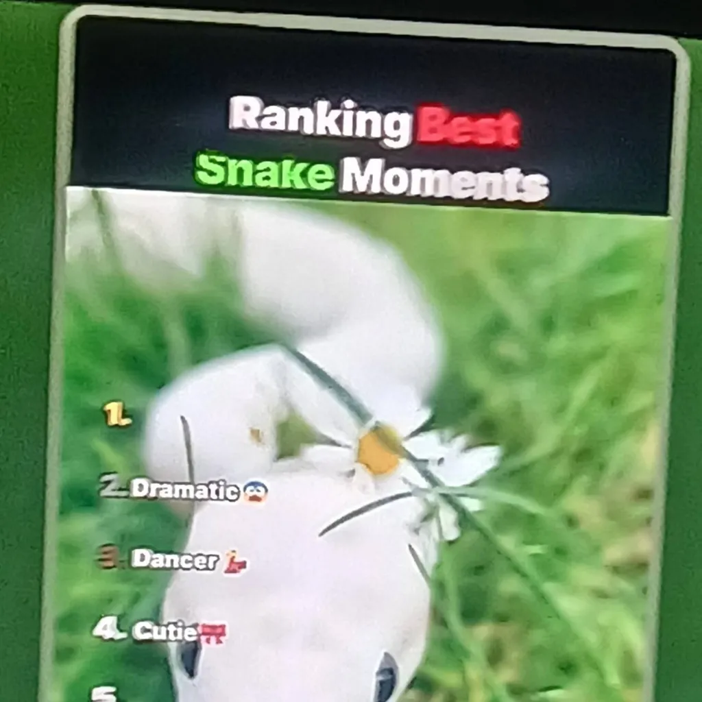 chat with ai character: hh snake