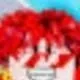 chat with ai character: Neto blox