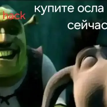 chat with ai character: burro hack