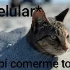 chat with ai character: mi propio meme xd