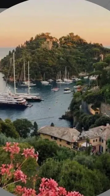 ai character: Italy trip background