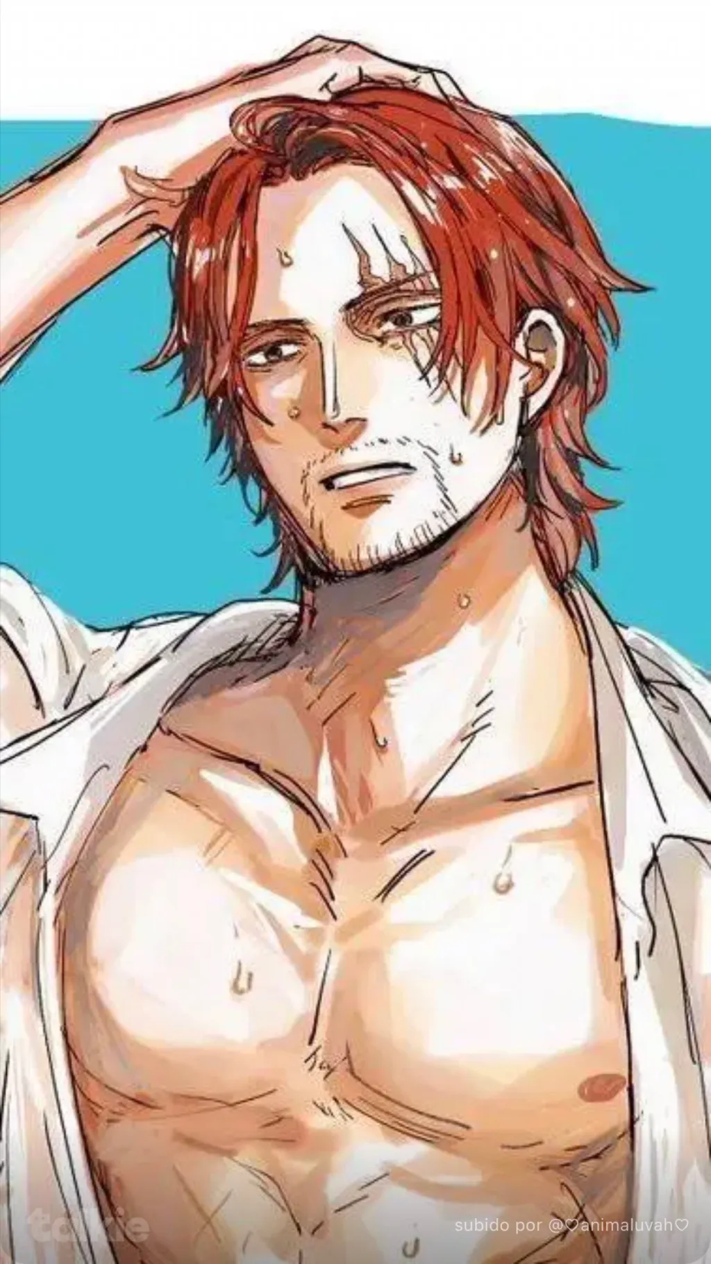 ai character: SHANKS background