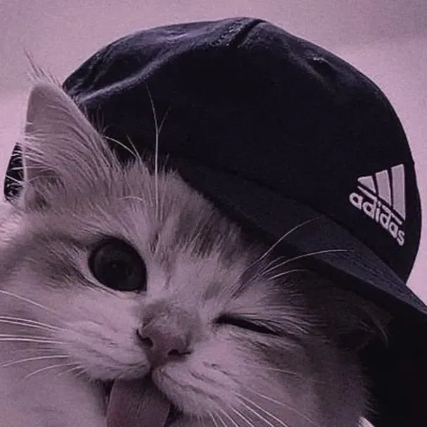 chat with ai character: Gatito