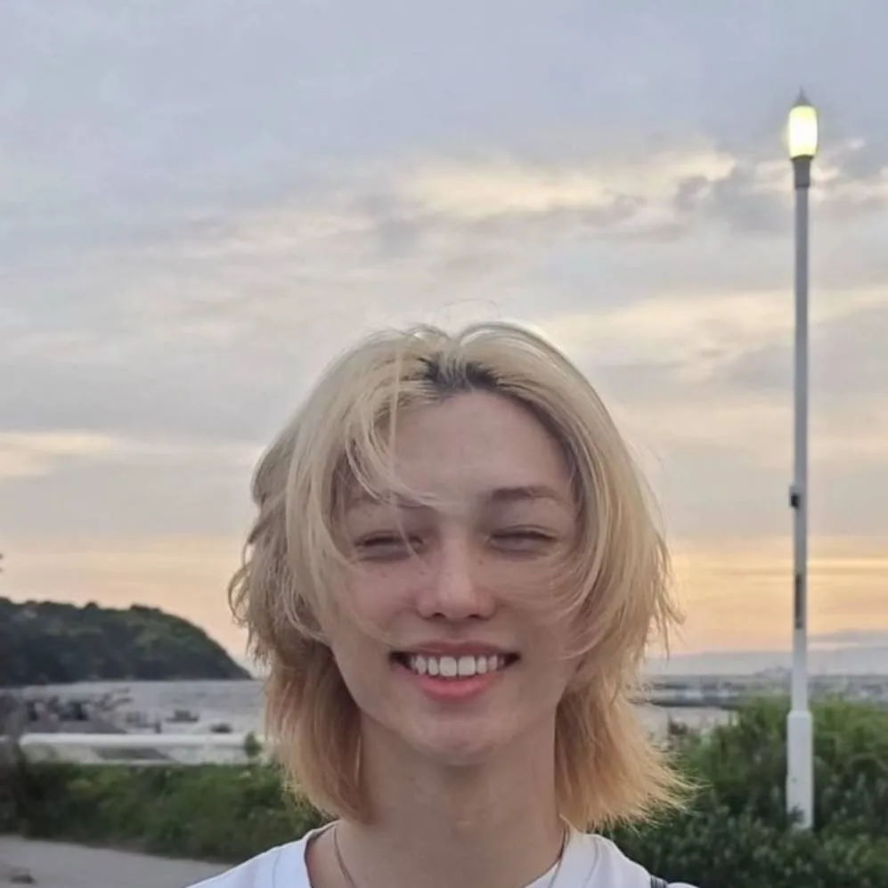chat with ai character: Felix(skz)