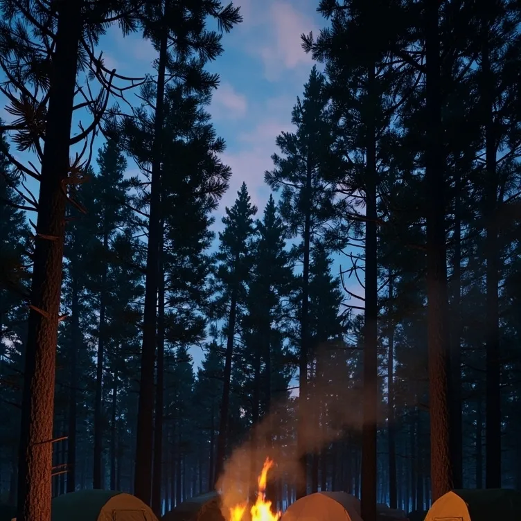 chat with ai character: The camping trip 