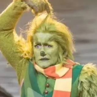 chat with ai character: Grinch (musical)