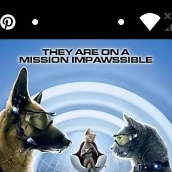 chat with ai character: cats and dogs 2