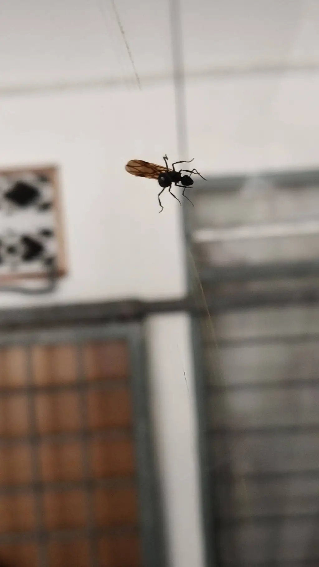 ai character: ur pet bug:3 background