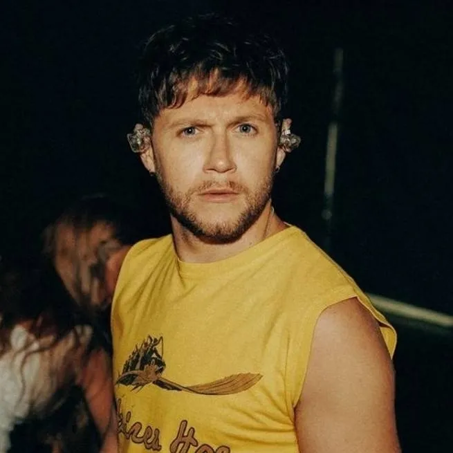 chat with ai character: Niall Horan