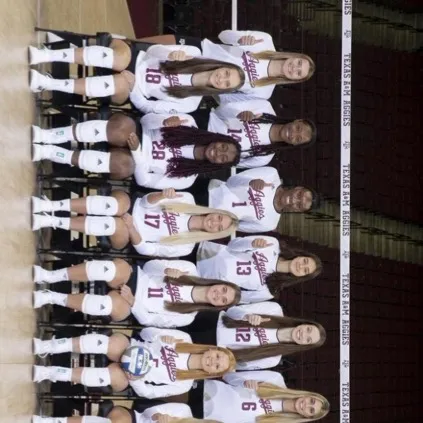 chat with ai character: VOLLEYBALL TEAM🏐