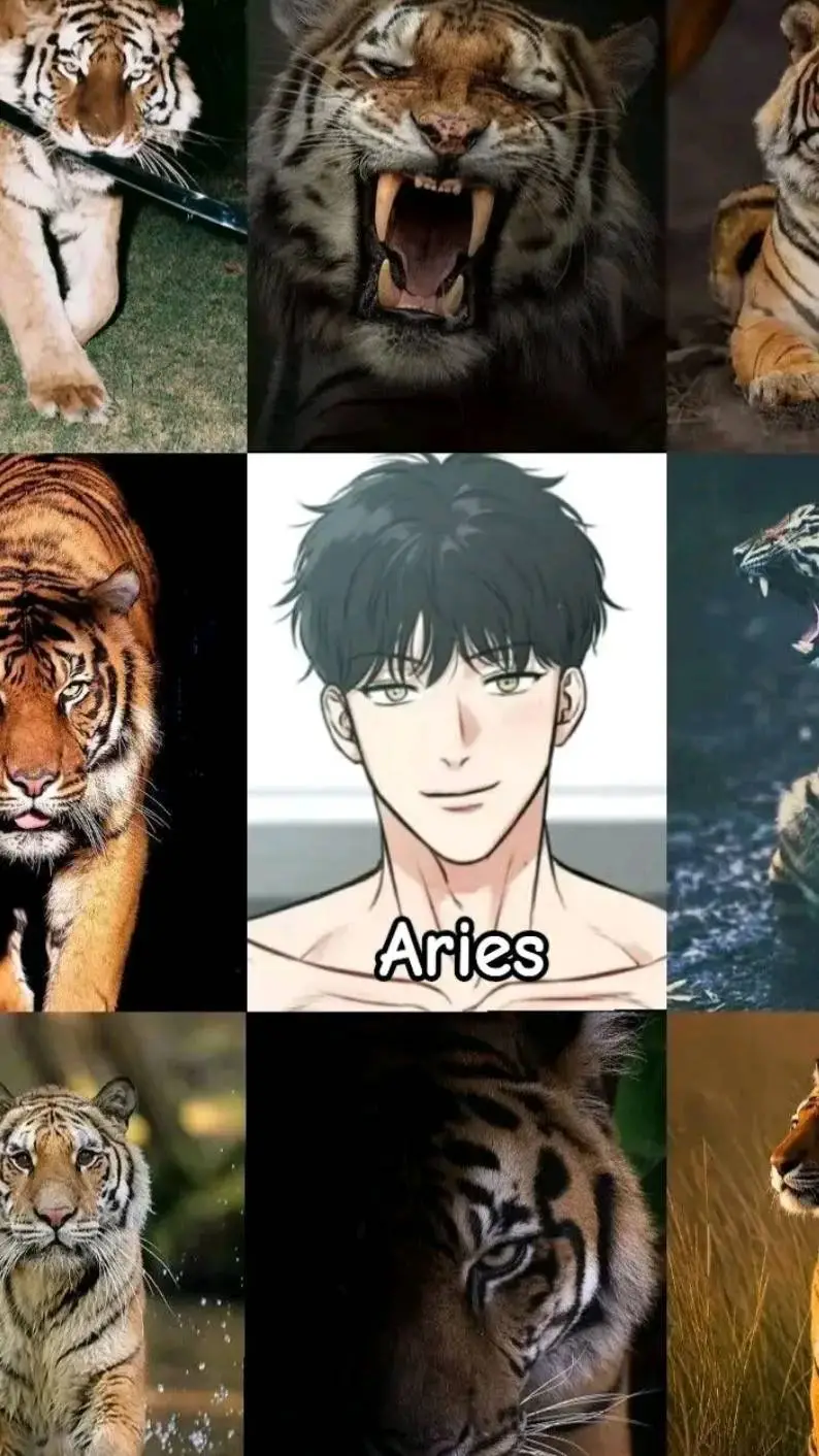 ai character: Asher background
