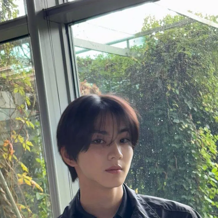 chat with ai character: Yang Jungwon 