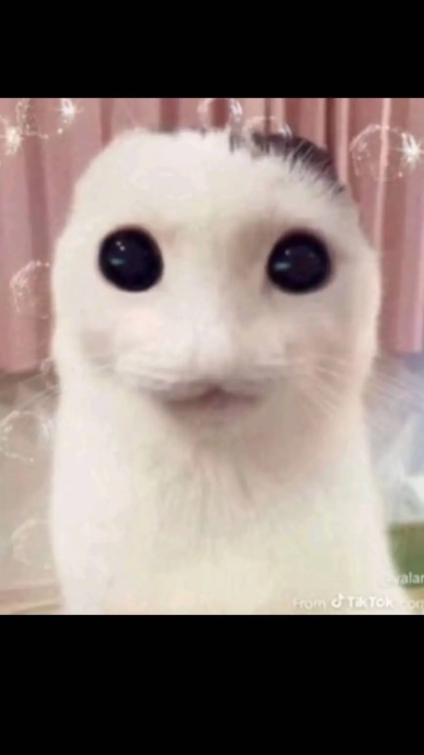 Talkie AI - Chat with new STUDENT!