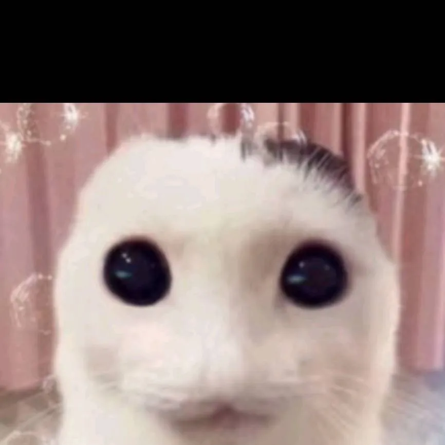 chat with ai character: new STUDENT!