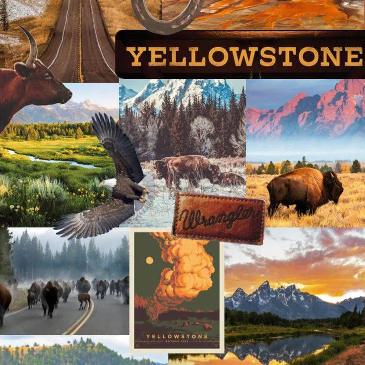 chat with ai character: Yellowstone