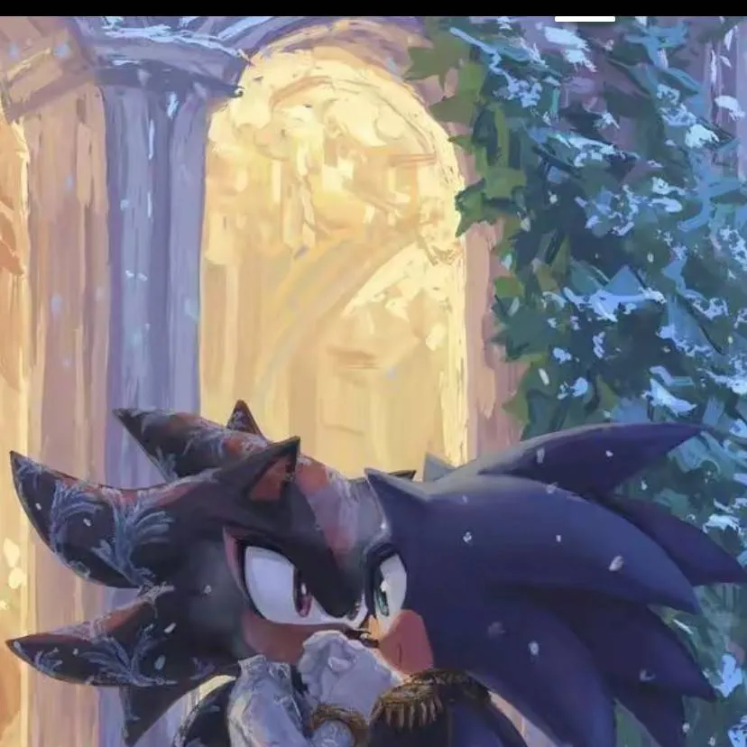 chat with ai character: Sonadow 💙🖤