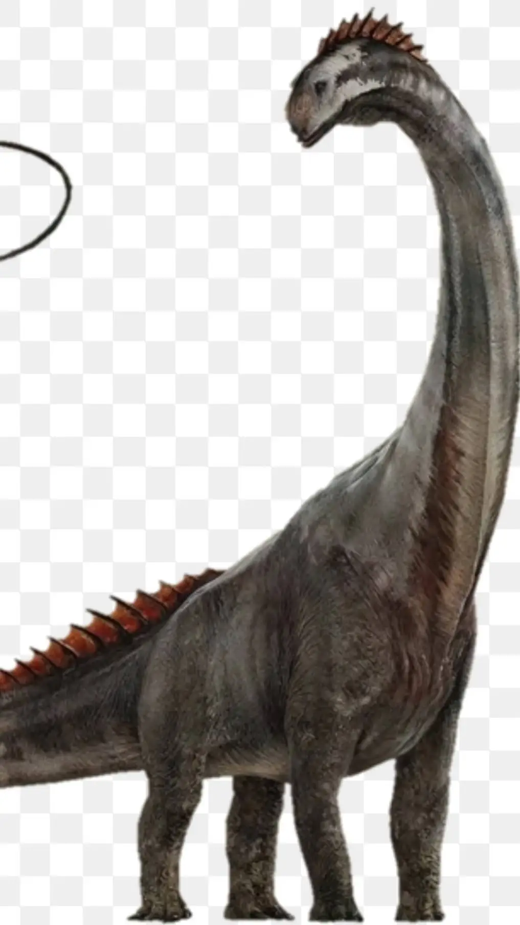 ai character: titano background