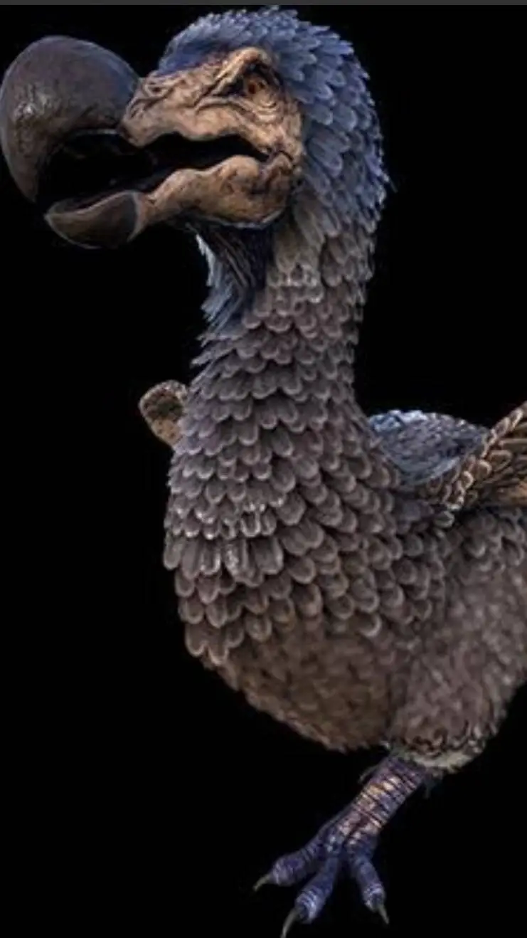 ai character: Ark dodo bird background