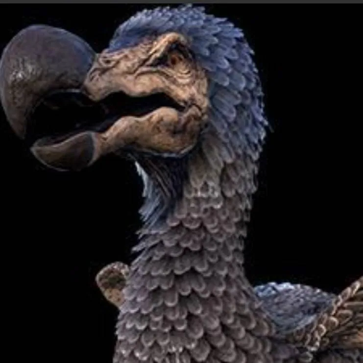 chat with ai character: Ark dodo bird