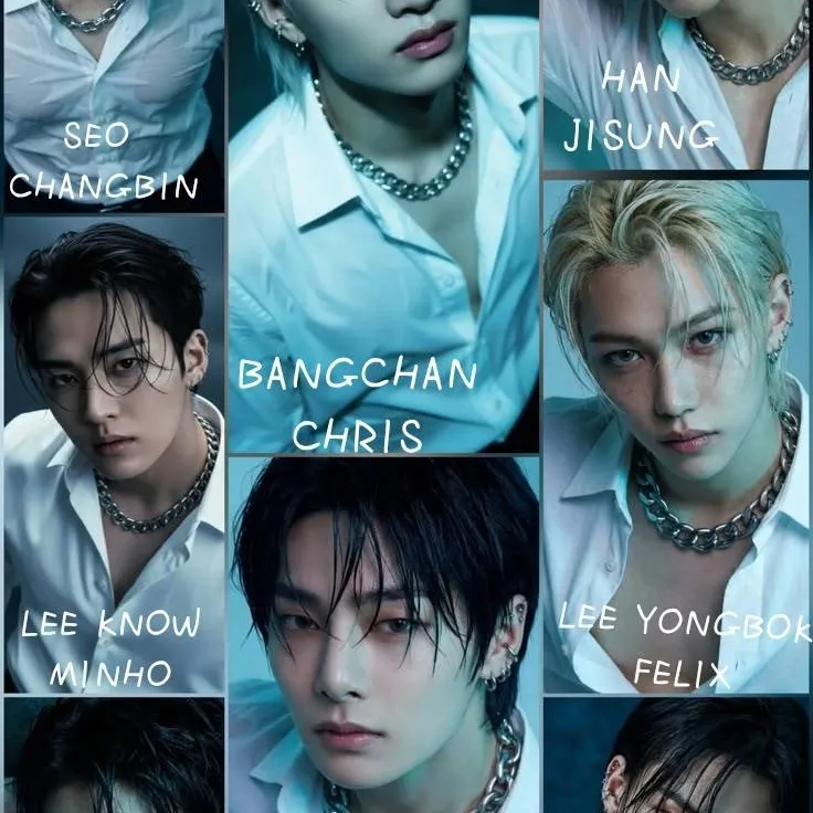 chat with ai character: 🖤SKZ(DADDIES)🤍