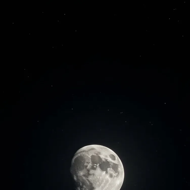 chat with ai character: Only for Astro :D