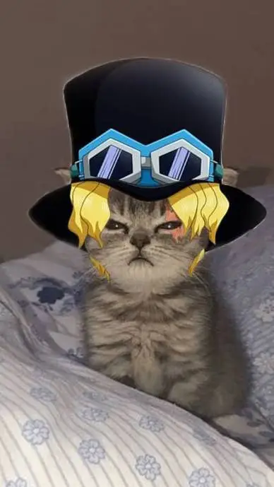 ai character: sabo  background
