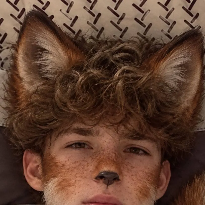 chat with ai character: ash (Fox)