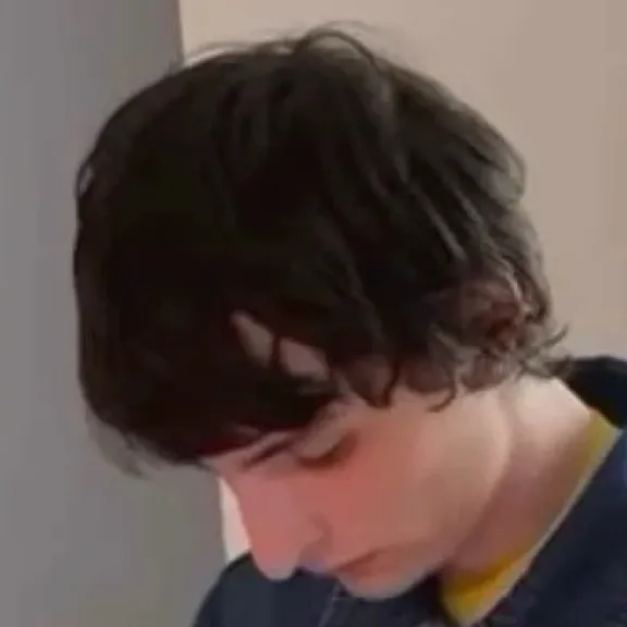 chat with ai character: Finn Wolfhard