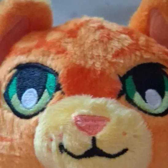 chat with ai character: warrior cats