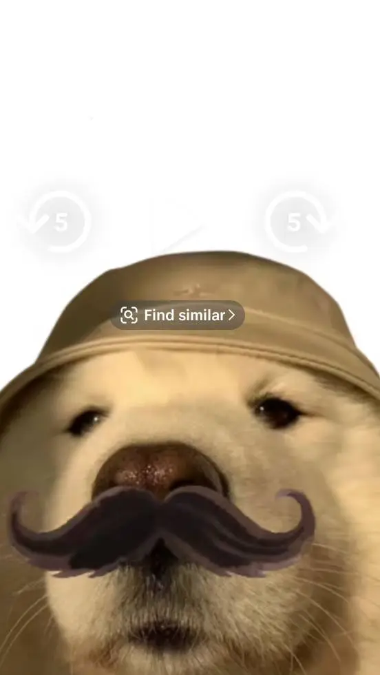 ai character: PRAISE THE DOG background