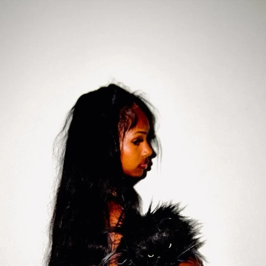 chat with ai character: Aliyah