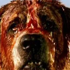 chat with ai character: Cujo 