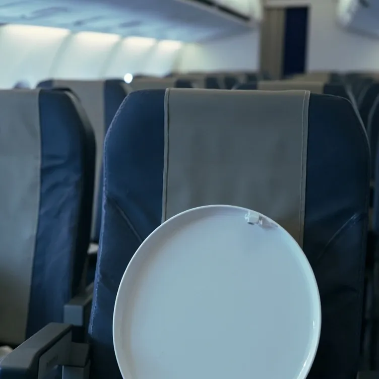 chat with ai character: Plane toilet